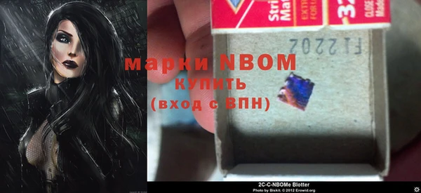 тгк Богданович
