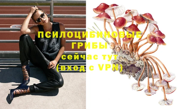 экстази Богородск