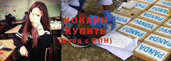 тгк Богданович